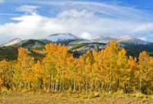 Things to do In Durango CO-Fall Colors-Mild to Wild