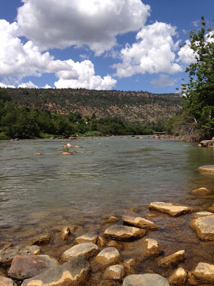 Animas River 8/11/15