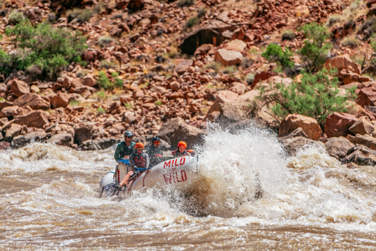 Boat breaking through a rapid in Cataract Canyon, Utah