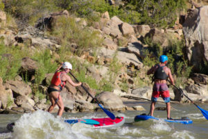 standup paddleboarding green river – Mild to Wild Rafting