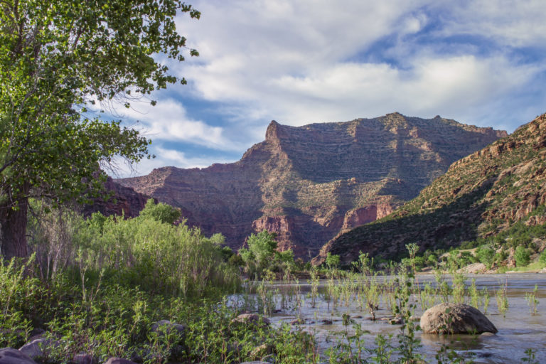 Desolation Canyon Rafting - Green River - Mild to Wild