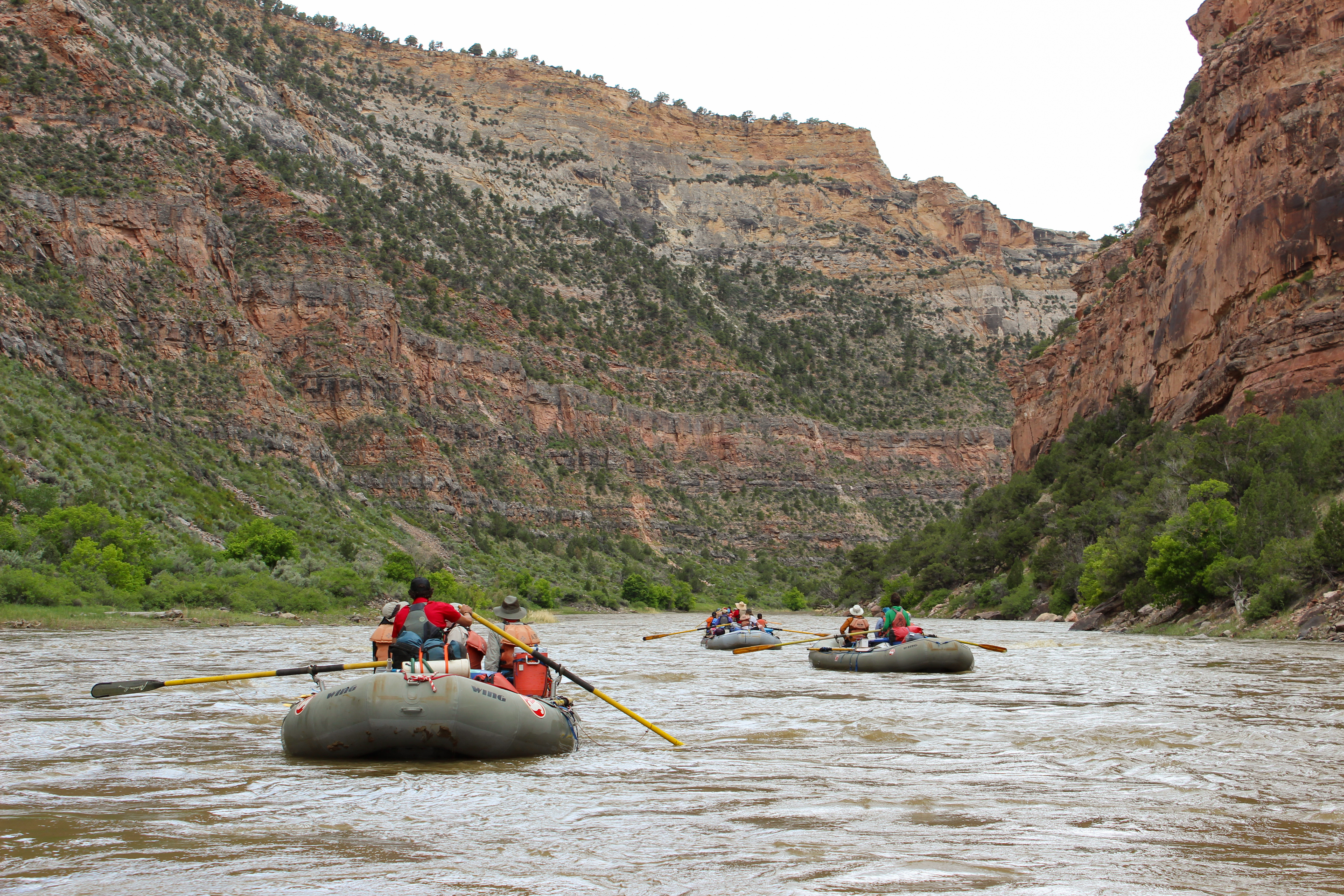 Yampa River Rafting - Dinosaur National Monument - Mild to Wild Rafting