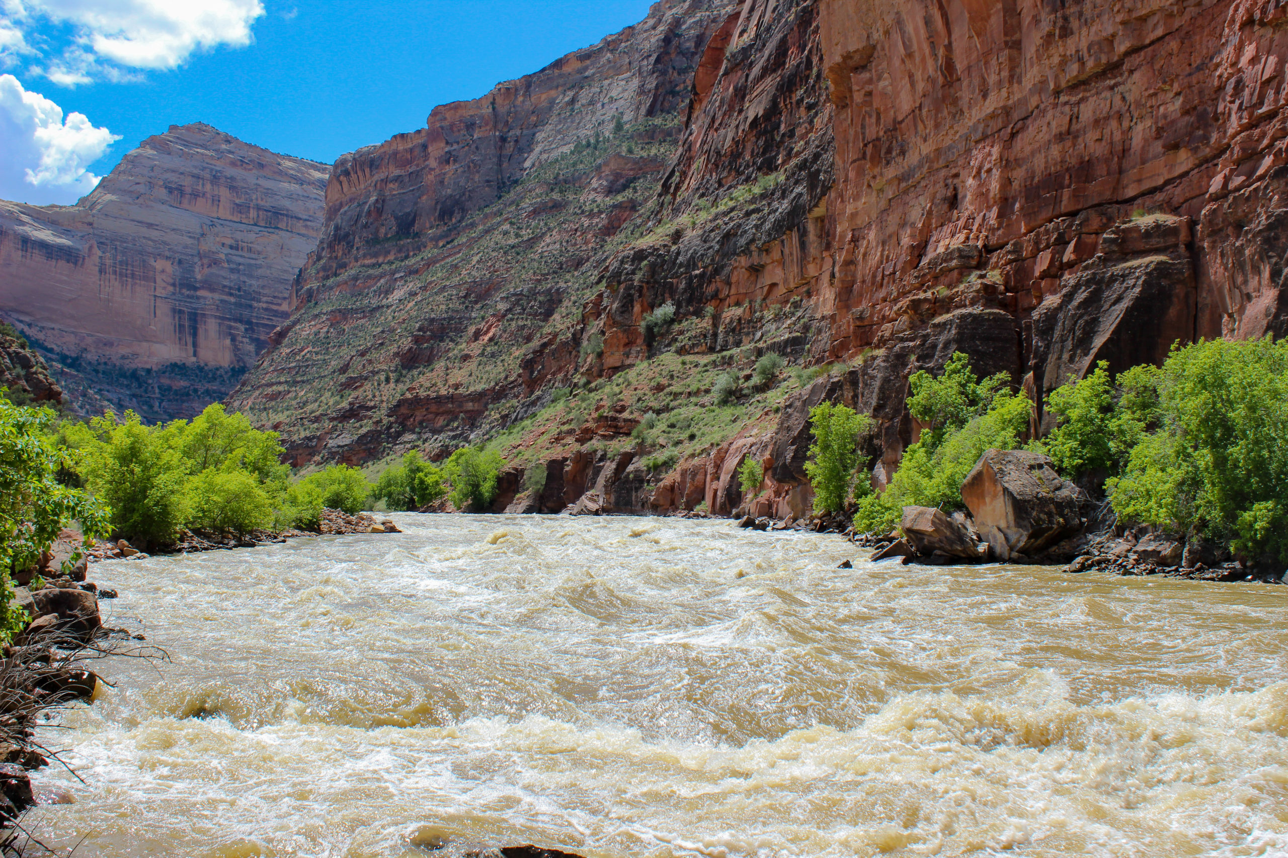 Yampa River Rafting - Dinosaur National Monument - Mild to Wild Rafting