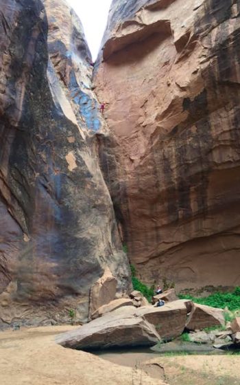 Dragonfly Canyon - Moab Area Trails - Mild to Wild Rafting