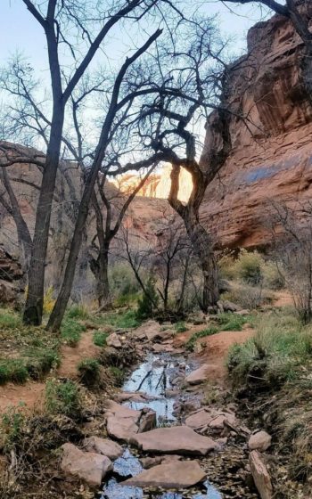 Moonflower Canyon Hiking - Moab Utah - Mild to Wild Rafting