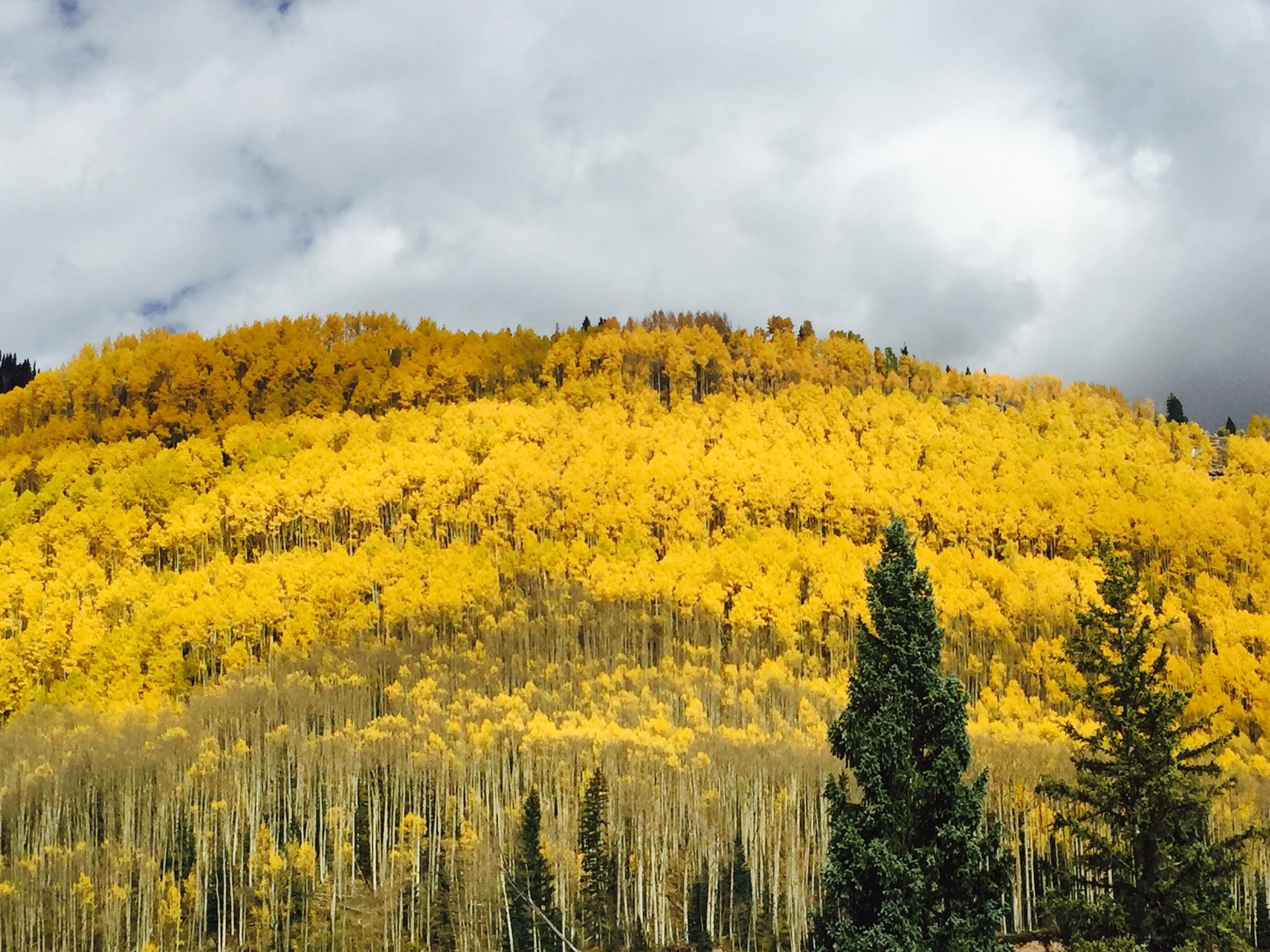 Million Dollar Highway Silverton Colorado Road Trip