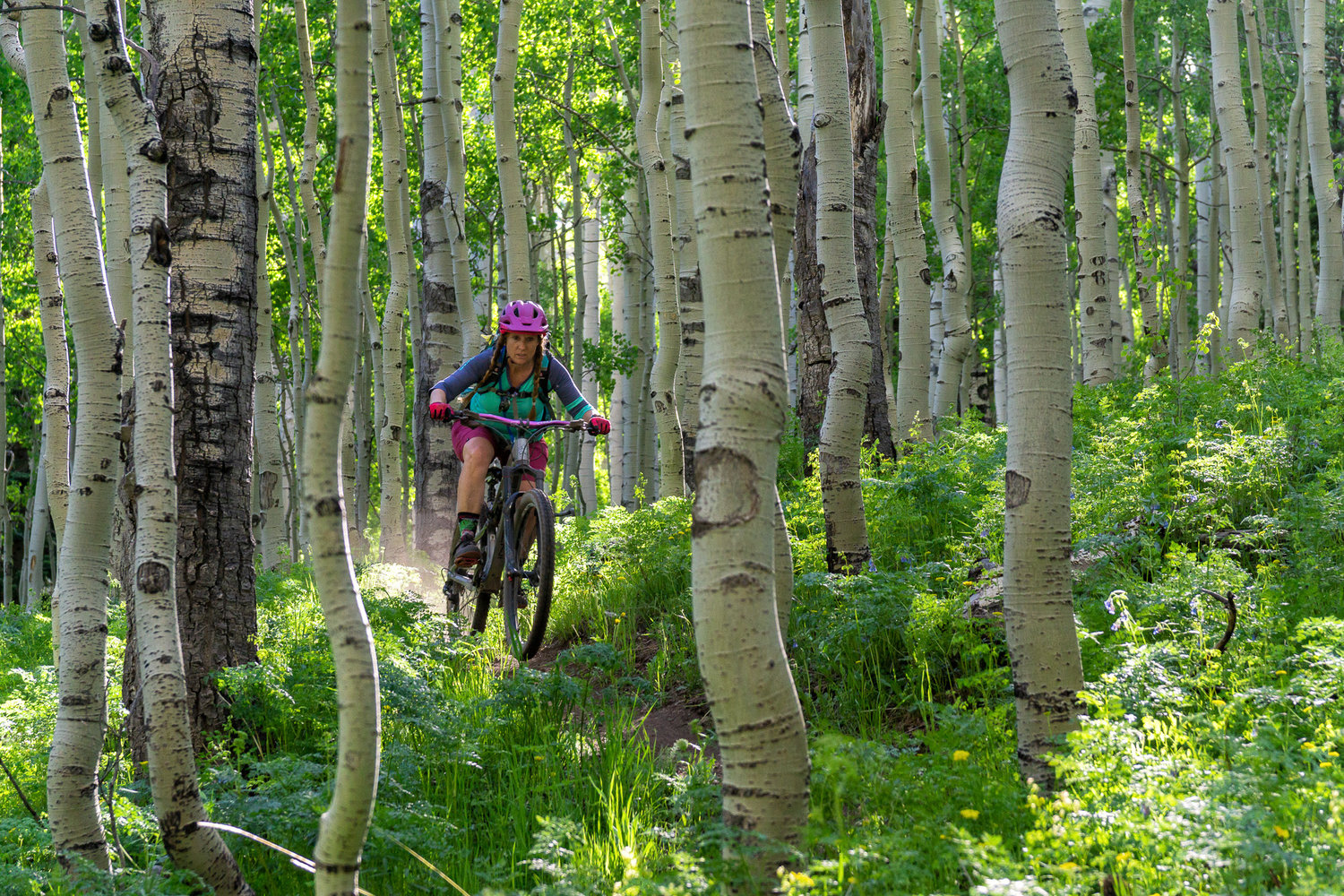 Offbeat Mountain Biking Moab 