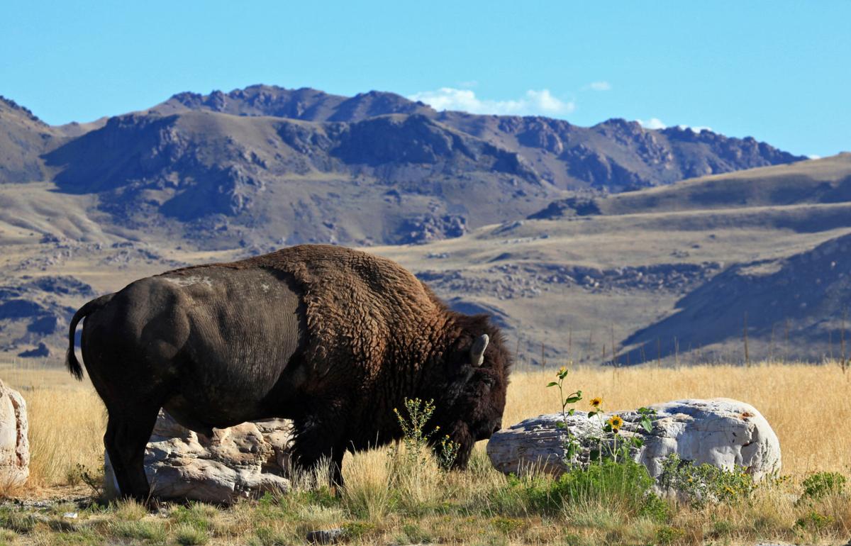 things right outside Salt Lake City Utah places to explore