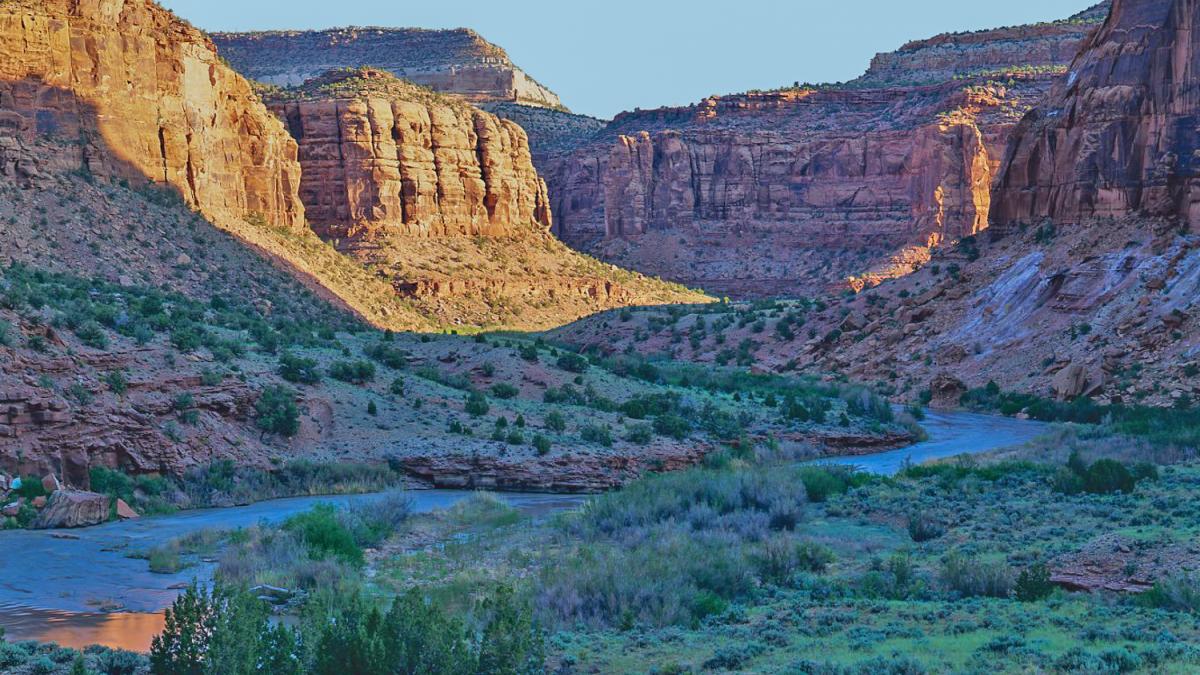 Dolores River Canyon places to camp