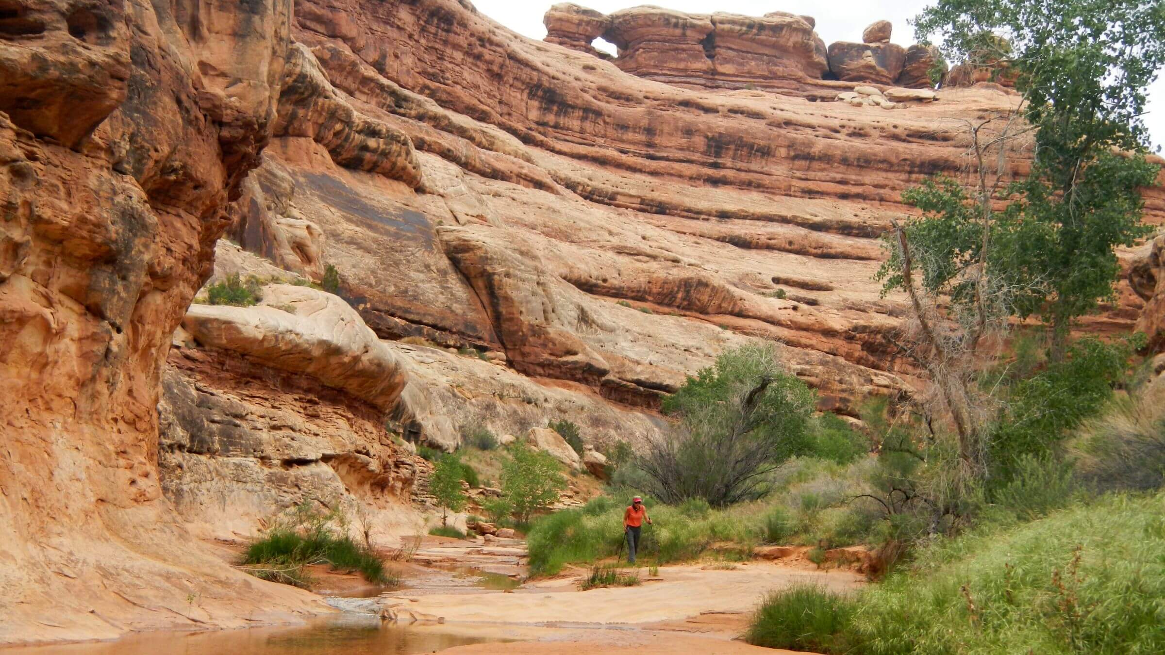 Grand Gulch Utah places to camp