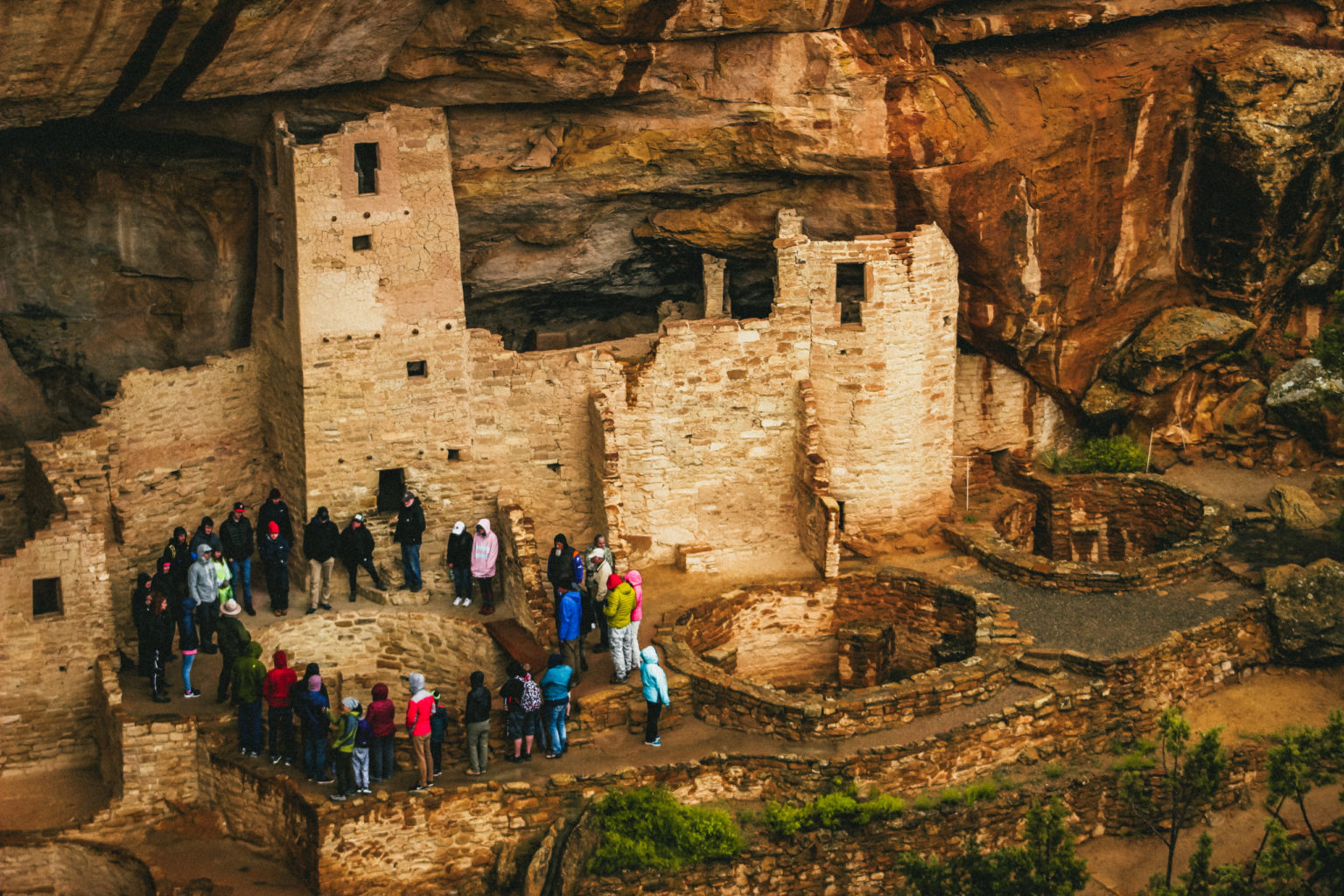 Mesa Verde Cliff Palace Tour - Colorado - Mild to Wild Land Tours