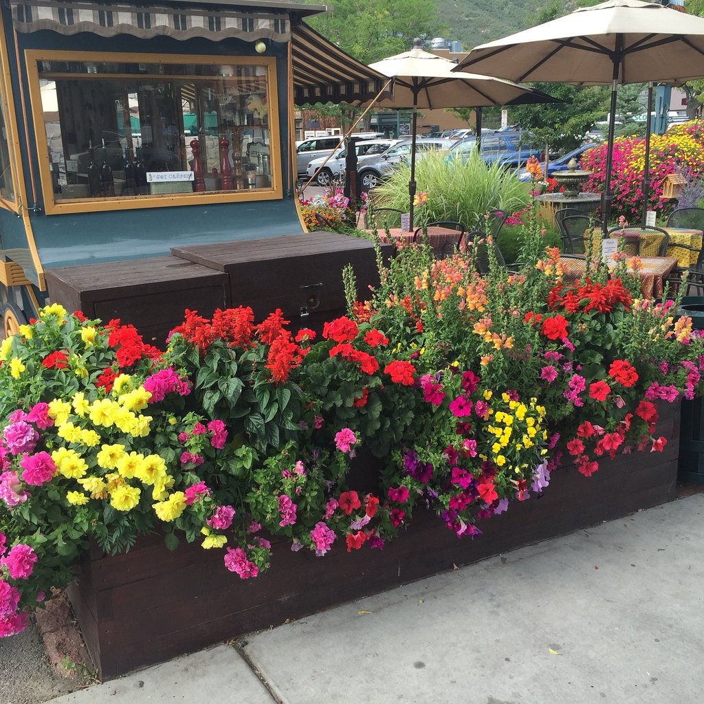 Patios in Durango