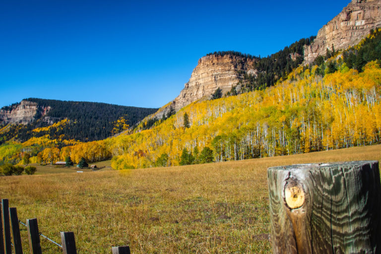 Fall Aspen Leaves Outside Durango - San Juan Skyway - Mild to Wild