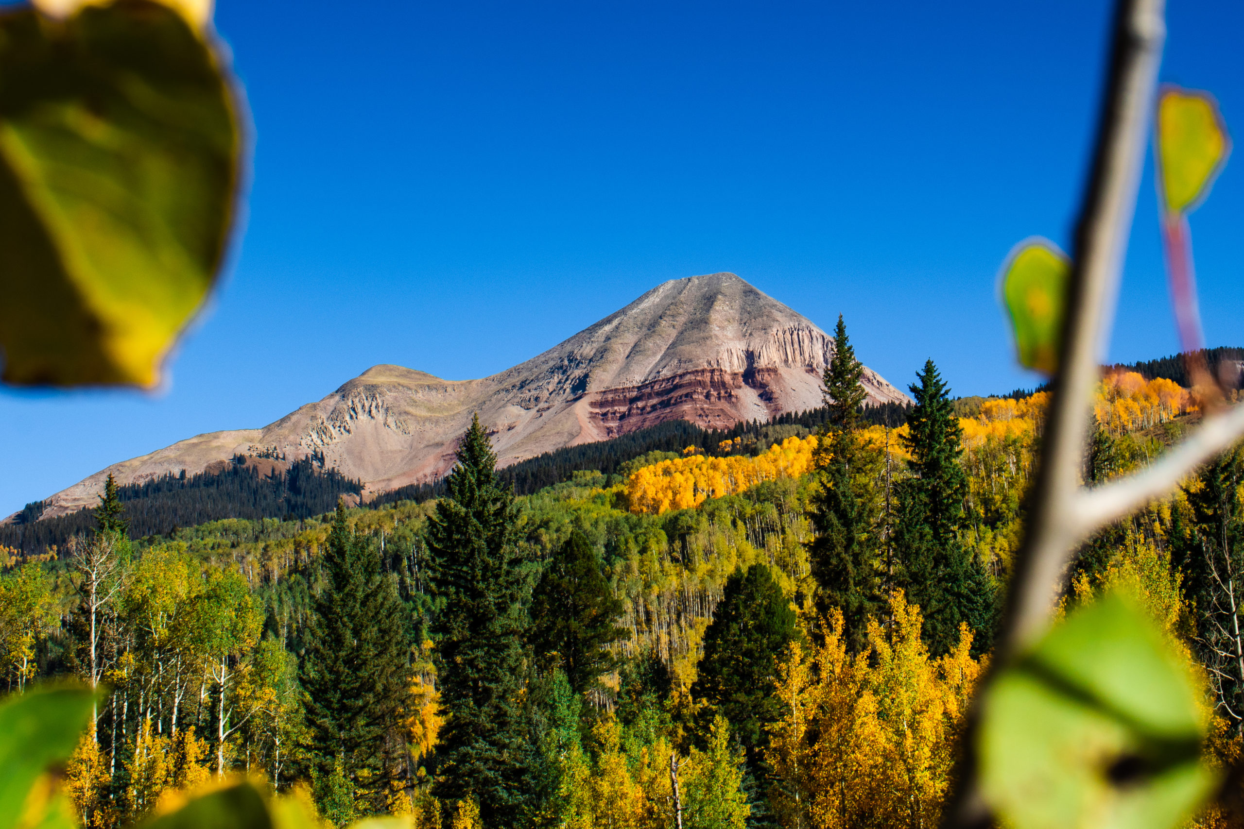 Engineer with Fall Aspen Trees - San Juan Skyway - Mild to Wild