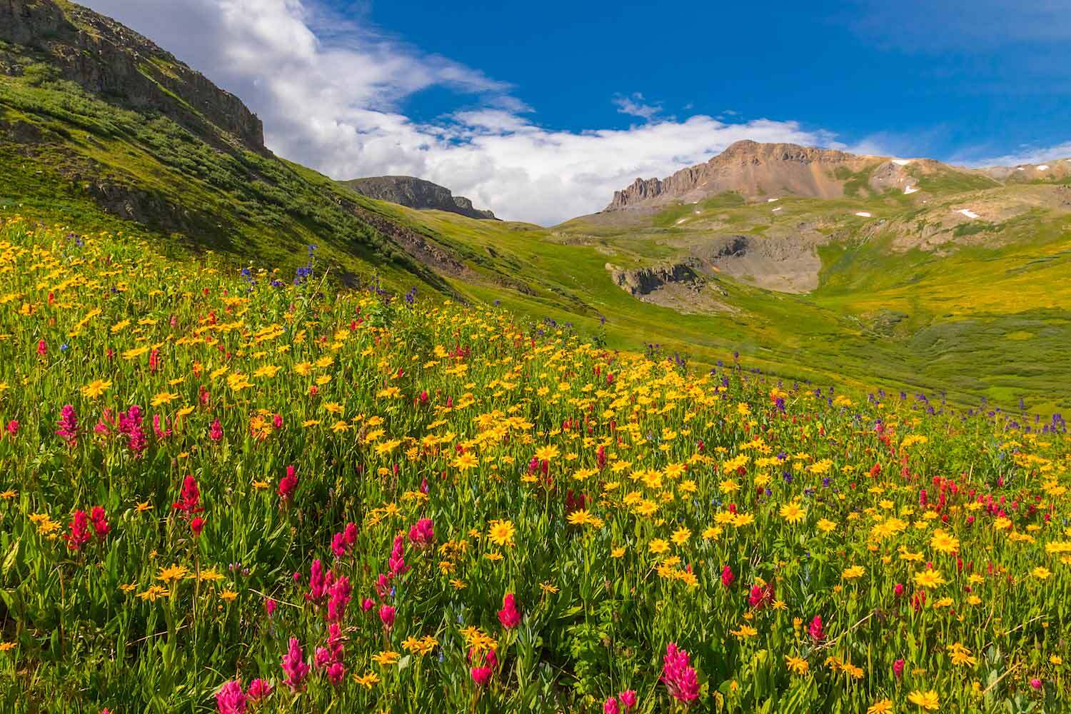 Off roading trails in Southwest Colorado for Wildflowers - Maggie Gulch - Mild to Wild 