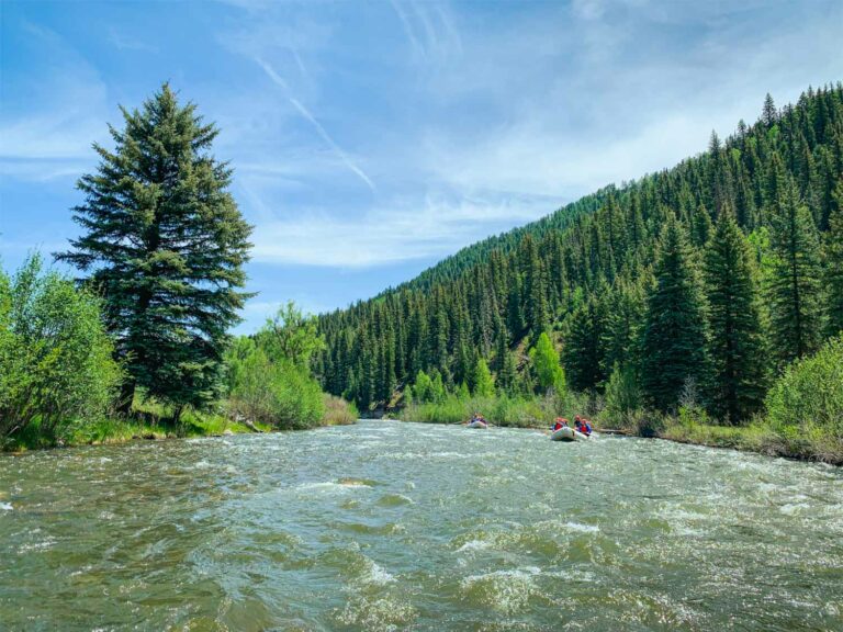 Upper Piedra Forest Landscape - Upper Piedra - Mild to Wild Rafting