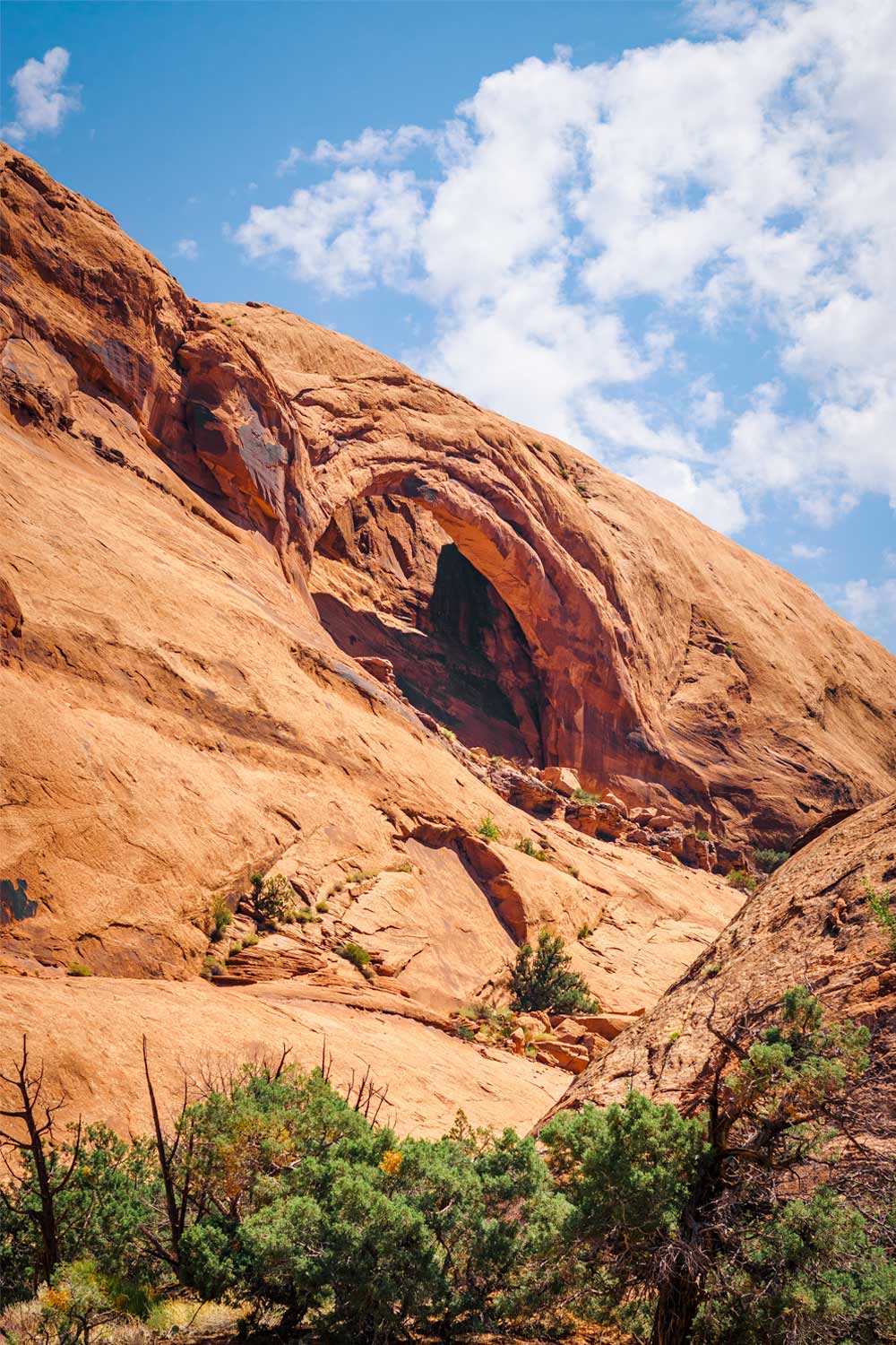 Longbow Arch Trail In Moab, Utah - Mild to Wild Rafting & Jeep Tours