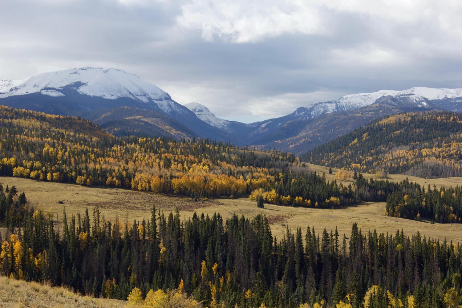 San Juan Mountains in fall - Mild to Wild