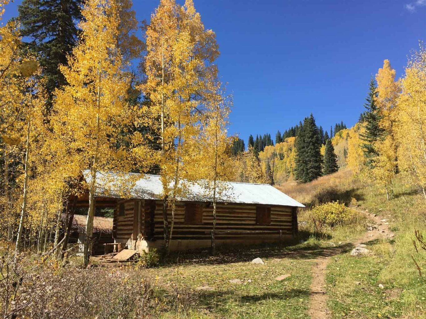 Goulding Creek trail fall colors around old cabin - Mild to Wild