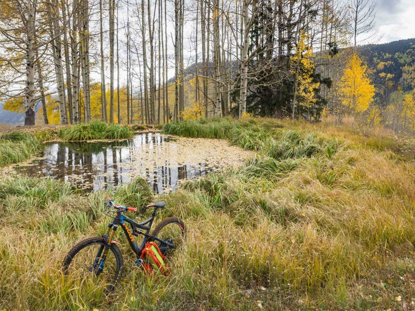 Engineer Mountain trail fall colors mountain bike - Durango, CO - Mild to Wild