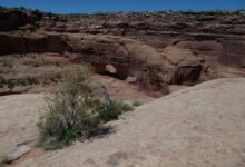 Jewel Tibbetts Arch - Moab, UT - Mild to Wild Rafting & Jeep Tours