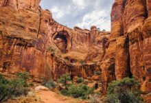 Gemini Bridges Trail - Moab Jeep Tour - Mild to Wild