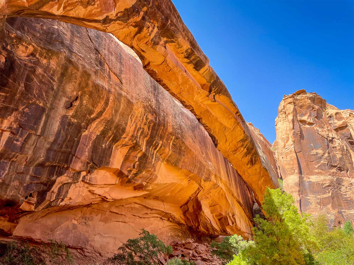 Morning Glory Bridge On Grandstaff Trail - Moab, UT - Mild to Wild Rafting & Jeep Tours