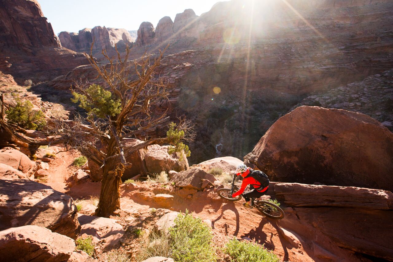 Mountain Biker in Klondike Bluffs Area Moab, Utah - Mild to Wild