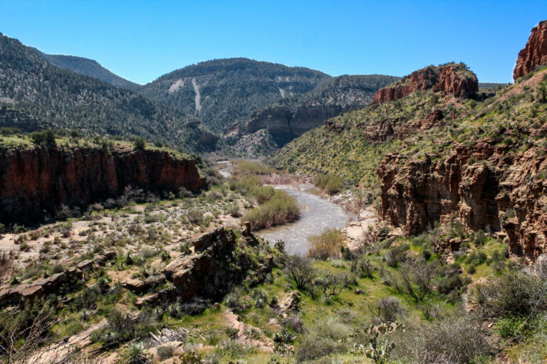 Salt River - Wide view of river and canyon