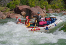 River guide Annie takes a boat of kids over Disaster Falls rapid in Gate of Lodore