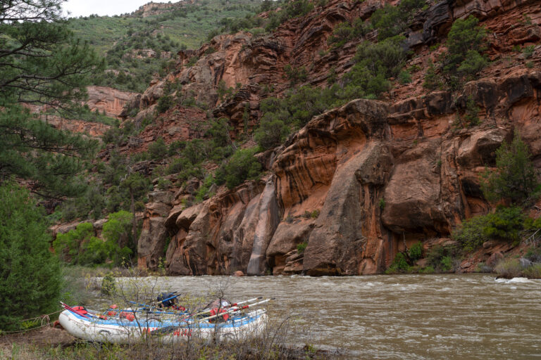 Wide shot of boats parked on shore at the Dolores River with rocks and trees