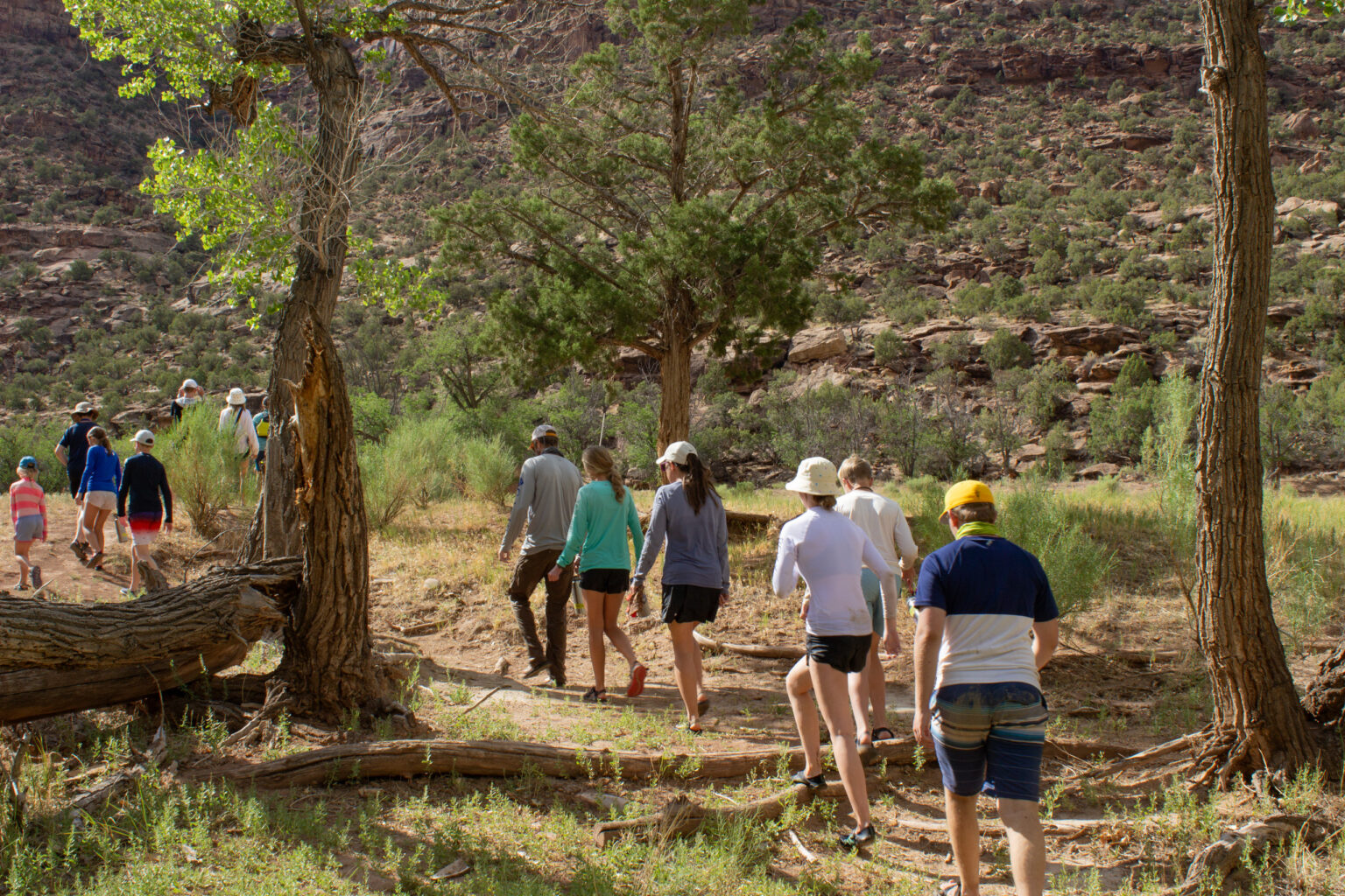 Desolation Canyon - Group of People Hiking - Mild to Wild