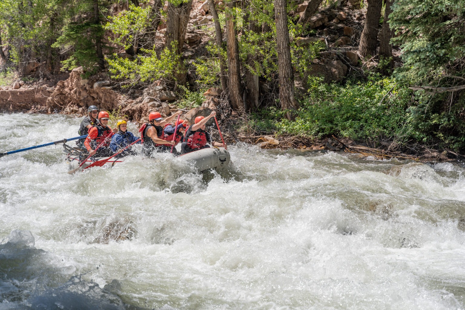 San Miguel River - Sawpit rapid - Guests paddling through whitewater - Mild to WIld