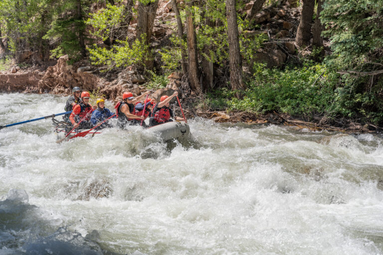 San Miguel River - Sawpit rapid - Guests paddling through whitewater - Mild to WIld What is El Niño and its Forecast for Southwestern Rivers this year?