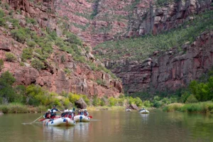 Multiple river rafting boats floating down a canyon river